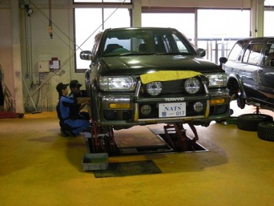 terrano7